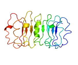 Image illustrative de l’article Récepteur de la TSH
