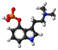 Image illustrative de l’article Psilocybine