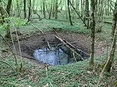 Grand trou d'eau en entonnoir recouvert de quelque troncs et branche d'arbres, en pleine forêt.