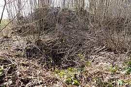 Le puits no&nbsp;III et son terril.