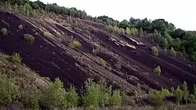 Le puy de la Nugère, flanc est (carrière de pouzzolane)