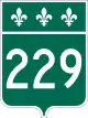 B229