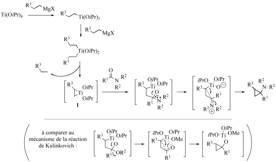 Mécanisme de la réaction de Kulinkovich-de Meijere