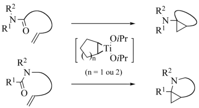 Réactions de Kulinkovich-de Meijere intramoléculaires
