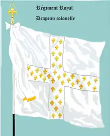 Drapeau Colonel