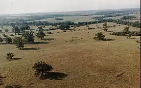 Étendue de steppe arborée