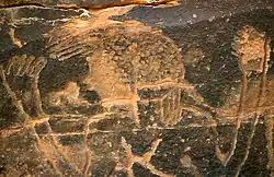 R'cheg Dirhem (détail)