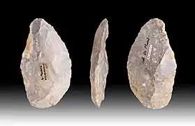 Racloir(Muséum de Toulouse).