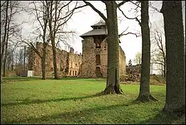 2010 Les ruines de l'imposant château de Ronneburg (Rauna en Lettonie, à 100&nbsp;km de Riga) des archevêques de Riga. Construit par l'archevêque Albert en 1262