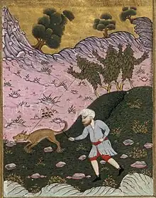 Enluminure turque représentant la récolte de la mandragore