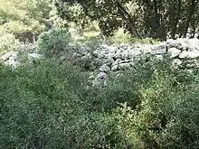 Vestiges du rempart de l'oppidum de Castillon.