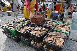 Retour de pêche à La Rochelle.