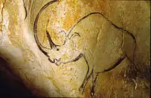 Rhinocéros à grande corne représenté dans la grotte Chauvet.