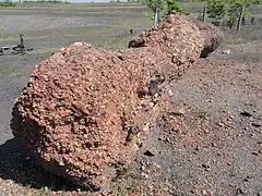 Détail de schistes rouges.
