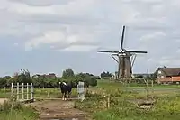 Rijpwetering, le moulin : Lijkermolen no 1.