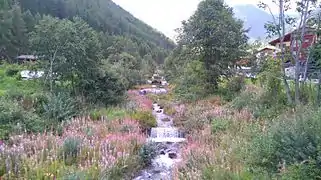 Rio Senales (Madonna di Senales).