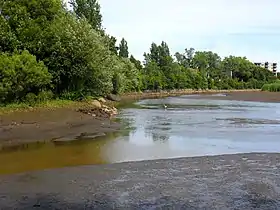 Image illustrative de l’article Stadaconé