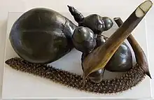 Un gros fruit brun foncé brillant et trois fruits plus petits, une spathe jaune verdâtre dont la coupe laisse apparaître une masse blanche, une panicule allongée couverte de petites fleurs