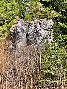 Rocher de la morille.