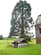 Puits du patrimoine, près de l'église.