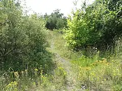 Le terril no&nbsp;136.