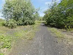 Le terril no&nbsp;138.