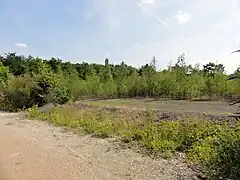 Le terril no&nbsp;138.