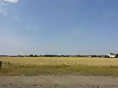 Le site du terril no&nbsp;212A est dans ce champ.