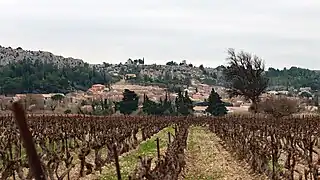 Le village au pied de la Falaise de la Roque