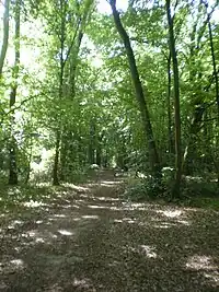 Image illustrative de l’article Forêt de Hez-Froidmont