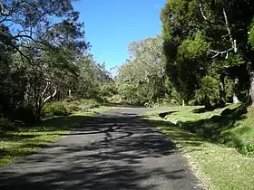 Image illustrative de l’article Route forestière de Bébour-Bélouve
