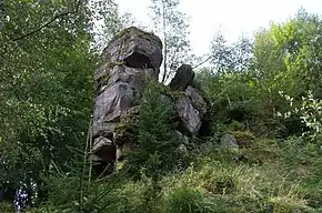 Château de Salm (ruine).