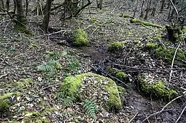 Le ruisseau des Cars.