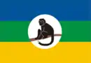 Drapeau des Bakonjo (Ouganda)[réf.&nbsp;nécessaire].