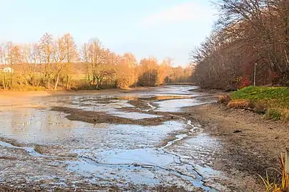 Étang à Žáravice.