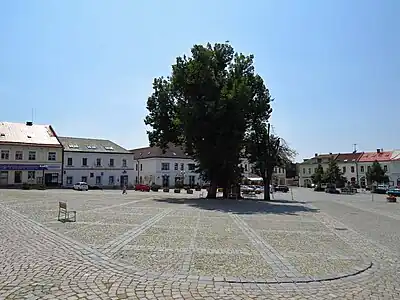 Rychnov nad Kněžnou : place centrale.