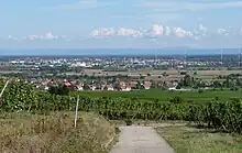 Photographie de Sélestat depuis Kintzheim.