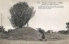 Tombe de chef sérère (AOF).