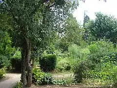 Jardin entomologique et botanique