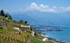 Vue de Lavaux et de la Riviera vaudoise.