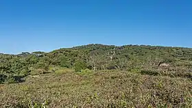 Image illustrative de l’article Réserve forestière de Sinharâja