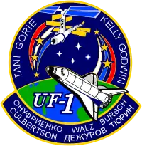 Insigne de la mission