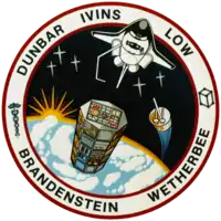 Insigne de la mission