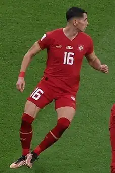 Image illustrative de l’article Saša Lukić