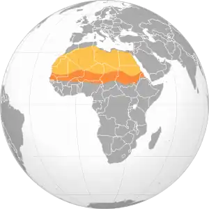 Carte de l'Afrique, avec le Sahara en beige et le Sahel en orange.