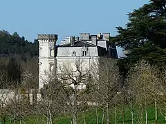 Le château de Saint-Crépin.