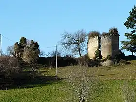 Image illustrative de l’article Château de Rochemorin (Saint-Front-d'Alemps)