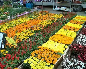 Marché aux fleurs aux Champs-Élysées en 2008.