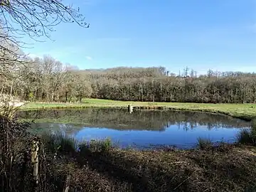 L'étang en contrebas de la fontaine de Ladoux.
