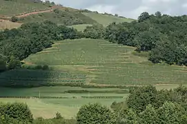 Saint-Étienne-de-Baïgorry